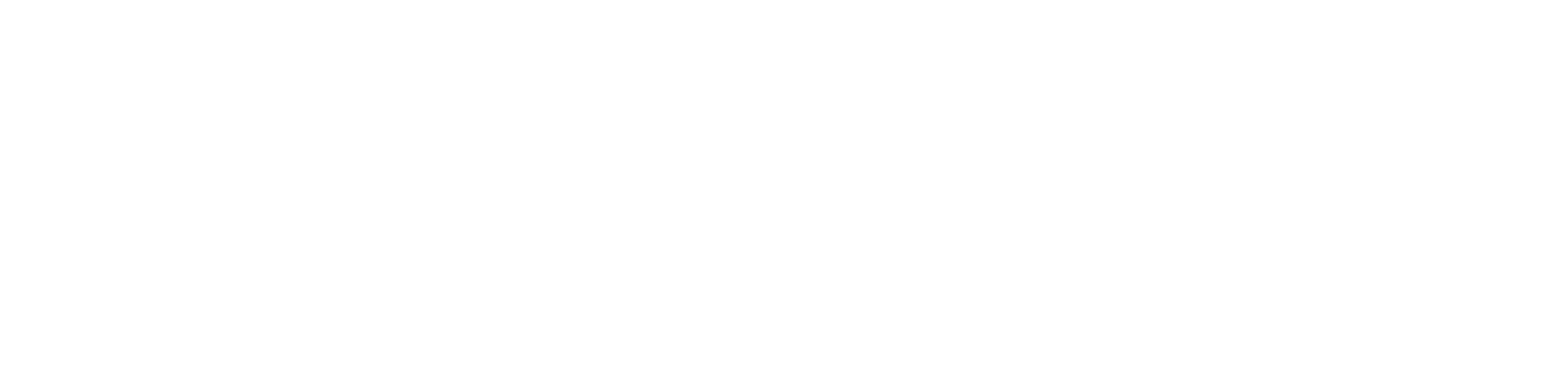 FuelVision logo